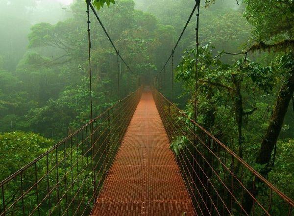 квест Тайна джунглей в Твери