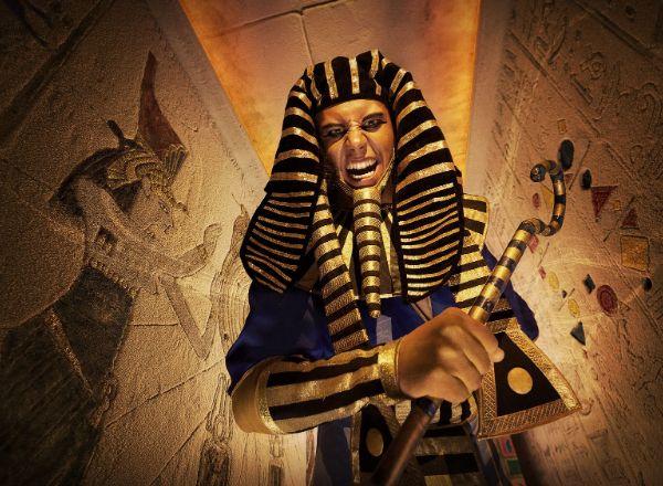 Квест Земля фараонов в Твери